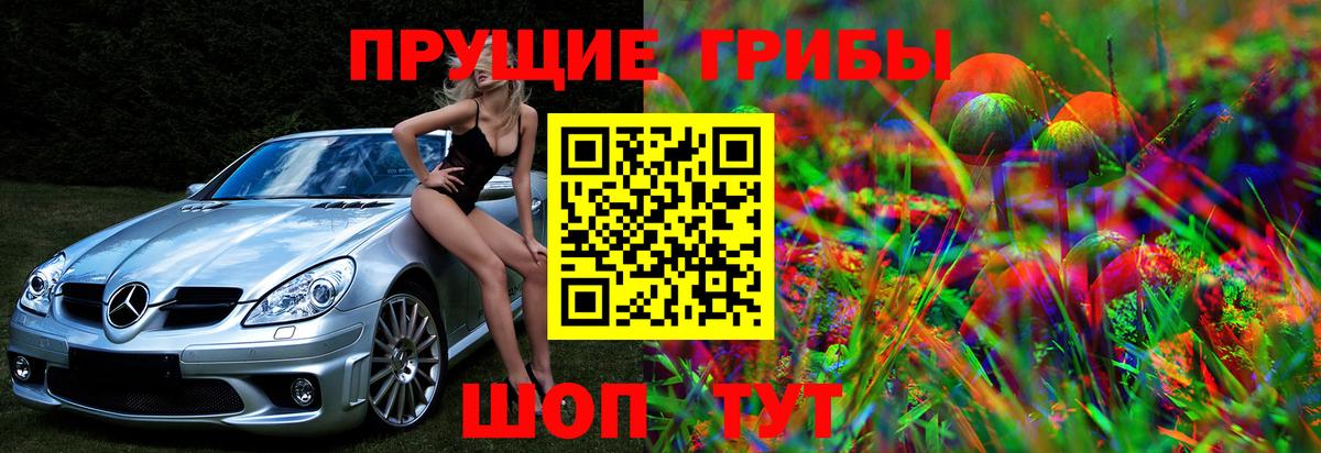 Псилоцибиновые грибы Psilocybine cubensis  Вход с VPN  Сатка 