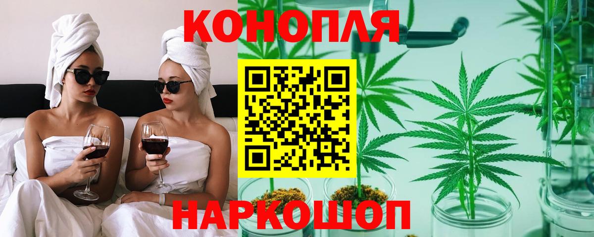 Бошки Шишки планчик Сатка